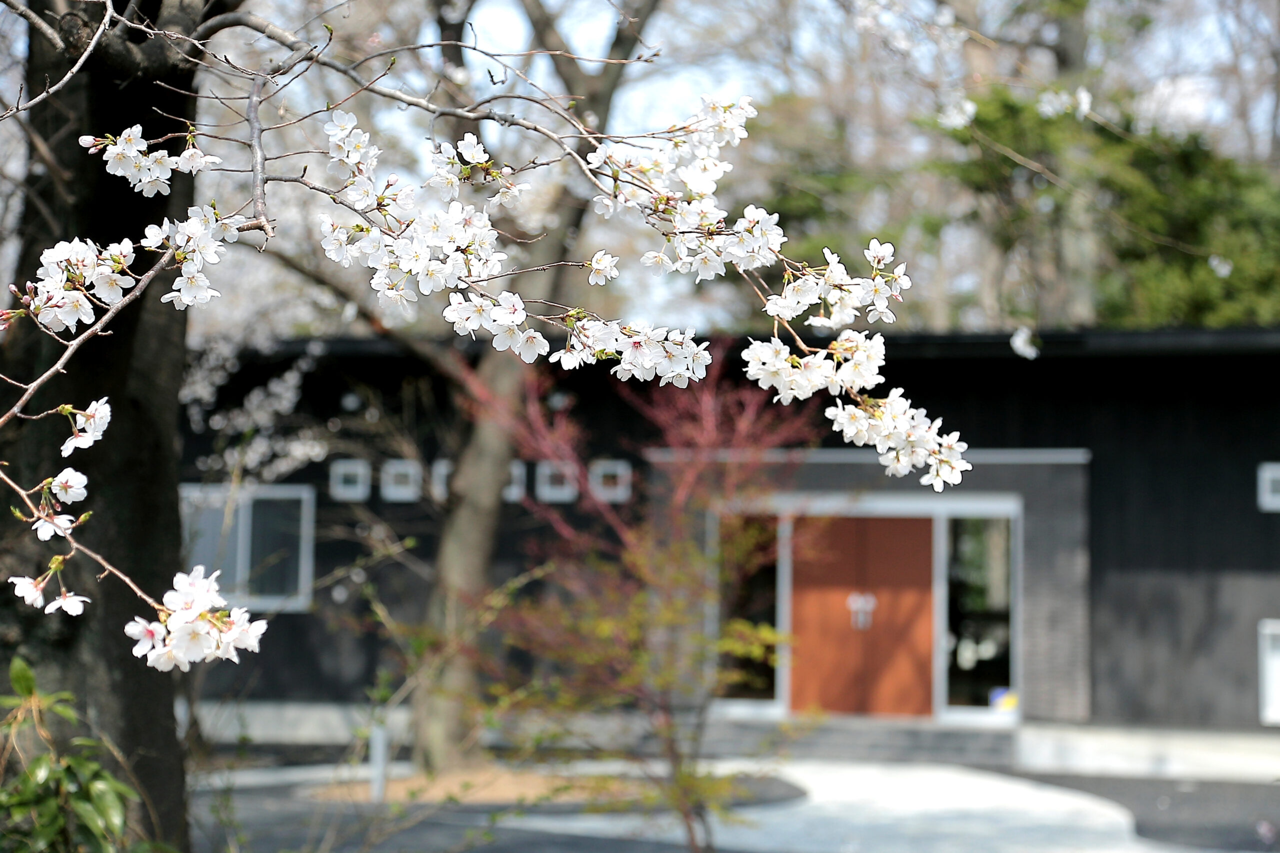 ギャラリー画像