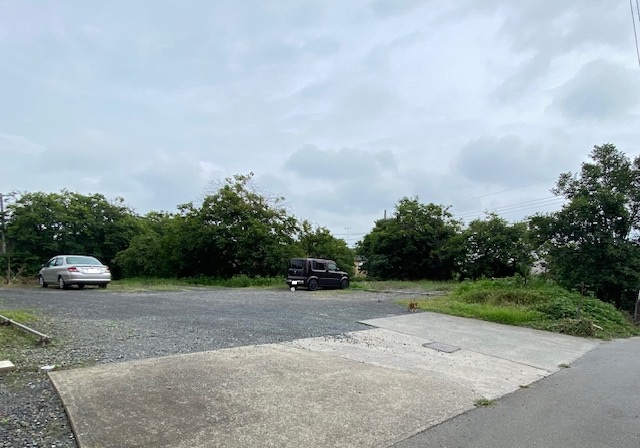 ギャラリー画像