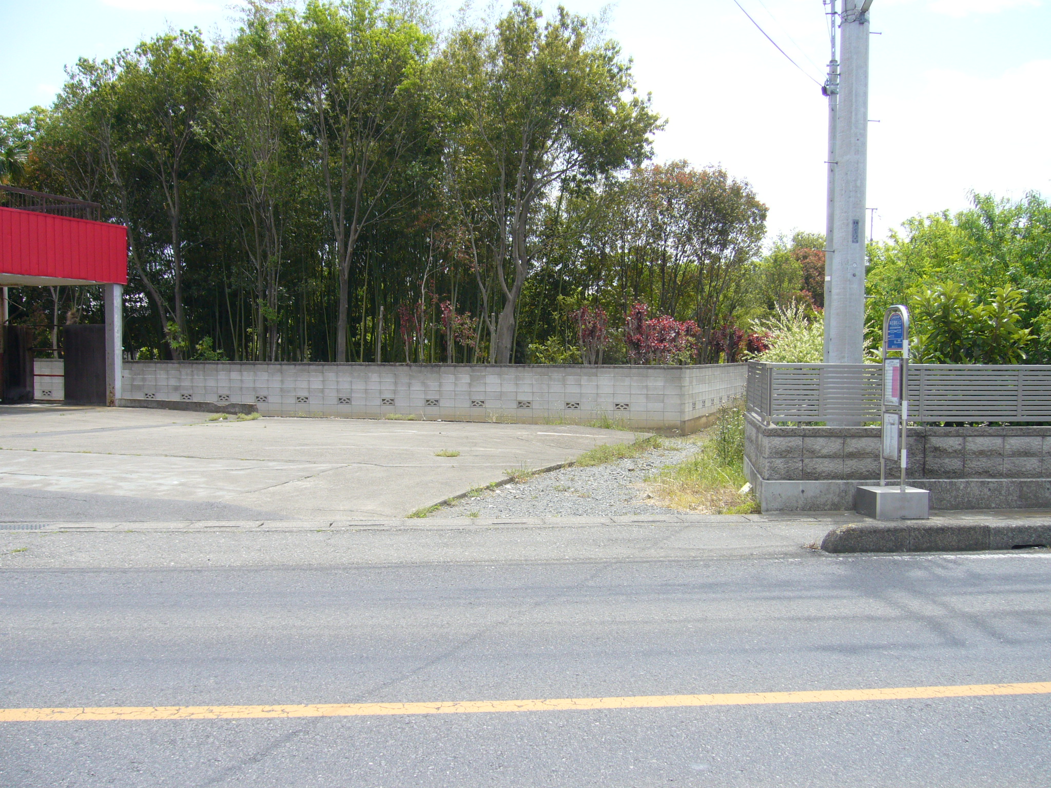 ギャラリー画像