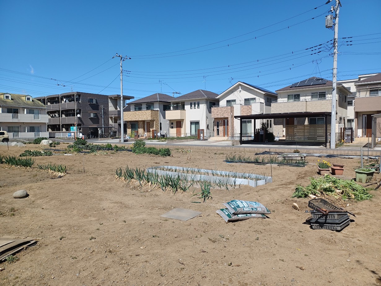 ギャラリー画像