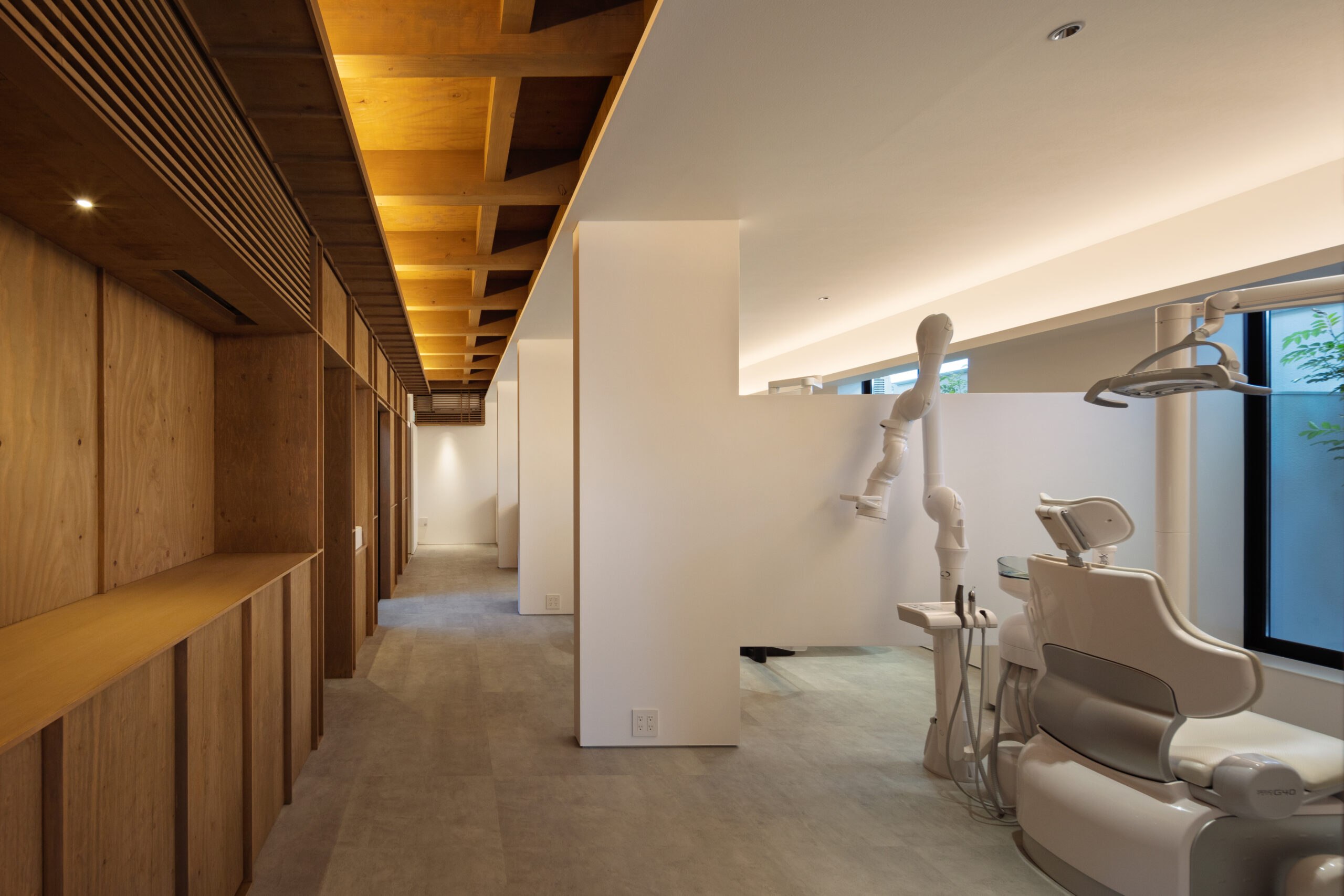 ギャラリー画像